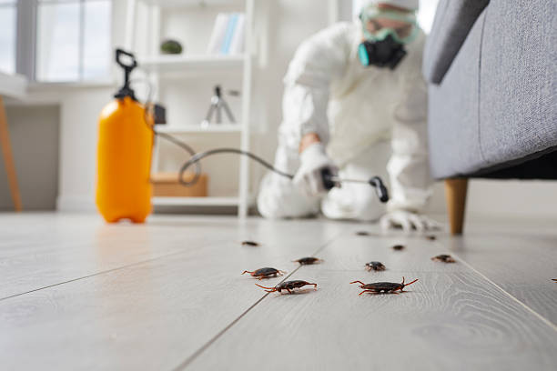 Commercial Kitchen Cockroach Control in Red Hill